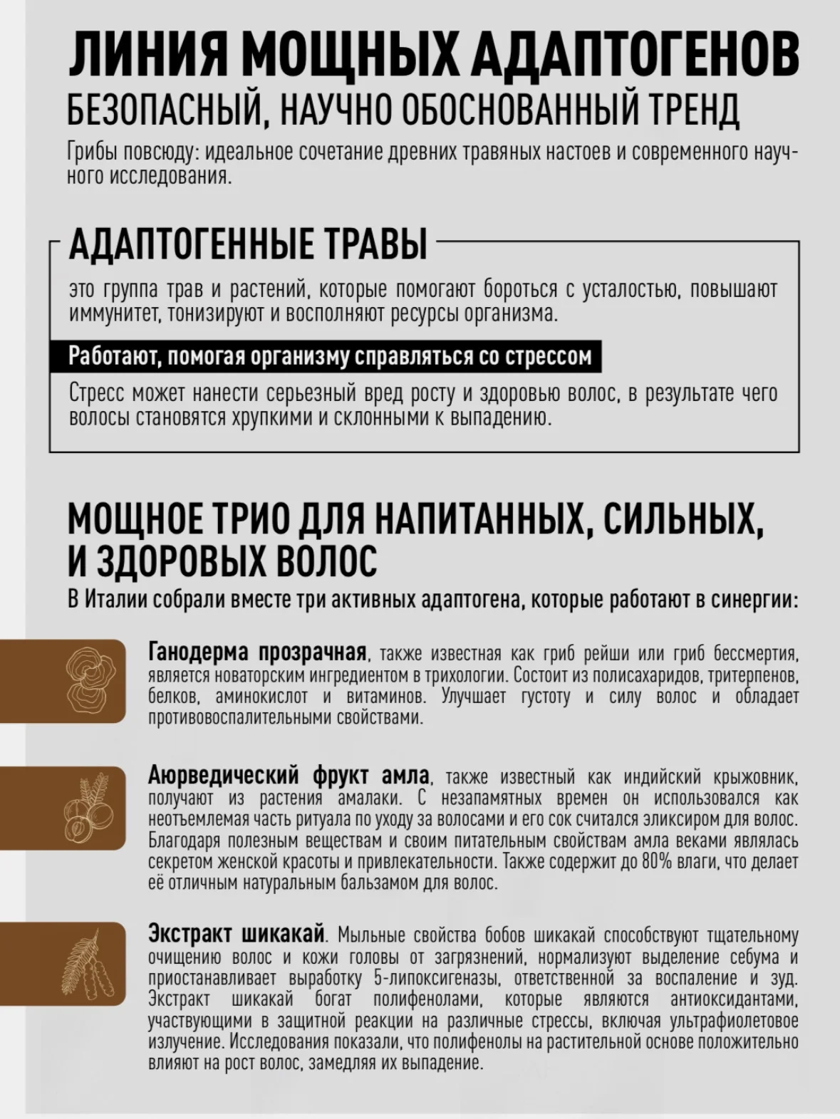 Шампунь Adapto Power для восстановления и укрепления волос 250/500 мл, бренд - Epica