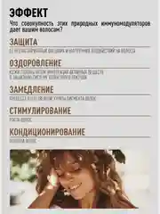Шампунь Adapto Power для восстановления и укрепления волос 250/500 мл, бренд - Epica