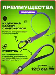 Темно-синий шлейка, ошейник, поводок для собак, комплект 3 в 1