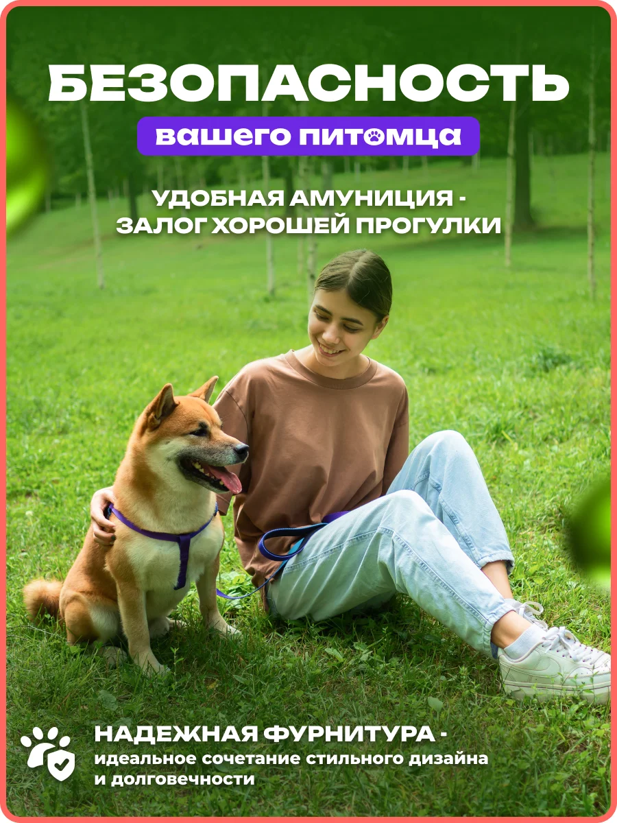 Темно-синий шлейка, ошейник, поводок для собак, комплект 3 в 1