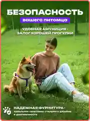 Темно-синий шлейка, ошейник, поводок для собак, комплект 3 в 1