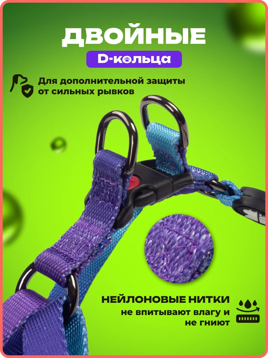 Темно-синий шлейка, ошейник, поводок для собак, комплект 3 в 1