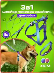 Темно-синий шлейка, ошейник, поводок для собак, комплект 3 в 1