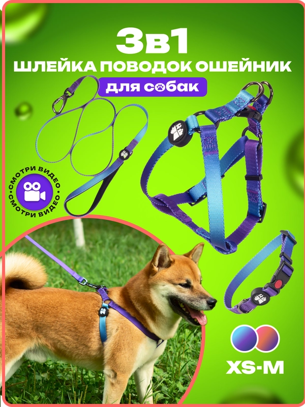 Шлейка, ошейник, поводок для собак, комплект 3 в 1