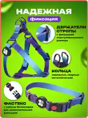 Темно-синий шлейка, ошейник, поводок для собак, комплект 3 в 1