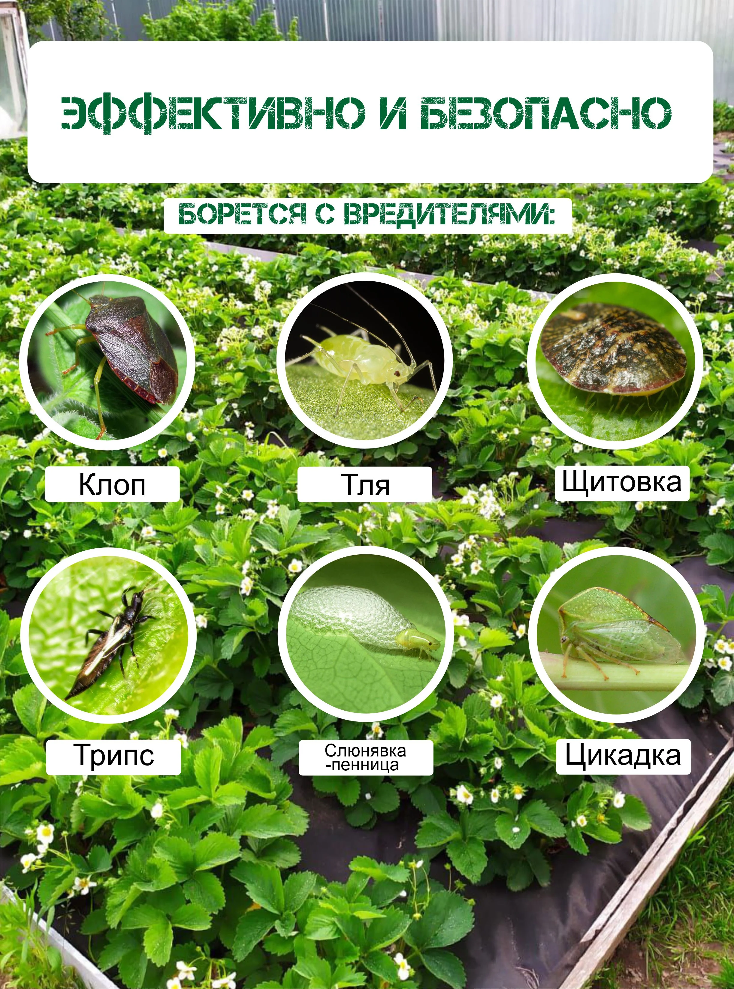 Садовое "зеленое" мыло для растений 5 л