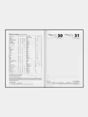 Ежедневник датированный 2025 Staff, 116036, планер, планинг, записная книжка А5 145х215 мм