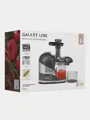 Соковыжималка шнековая GALAXY LINE GL 0817, 200 Вт