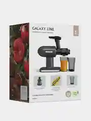 Соковыжималка шнековая GALAXY LINE GL 0813, 200 Вт
