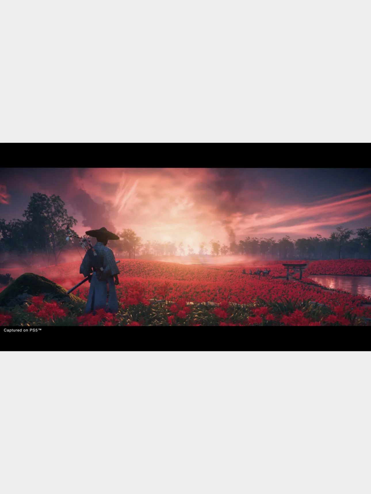 Игра Призрак Цусимы Режиссёрская версия PS4, диск на PS4, диск на PS5, игры на PS4