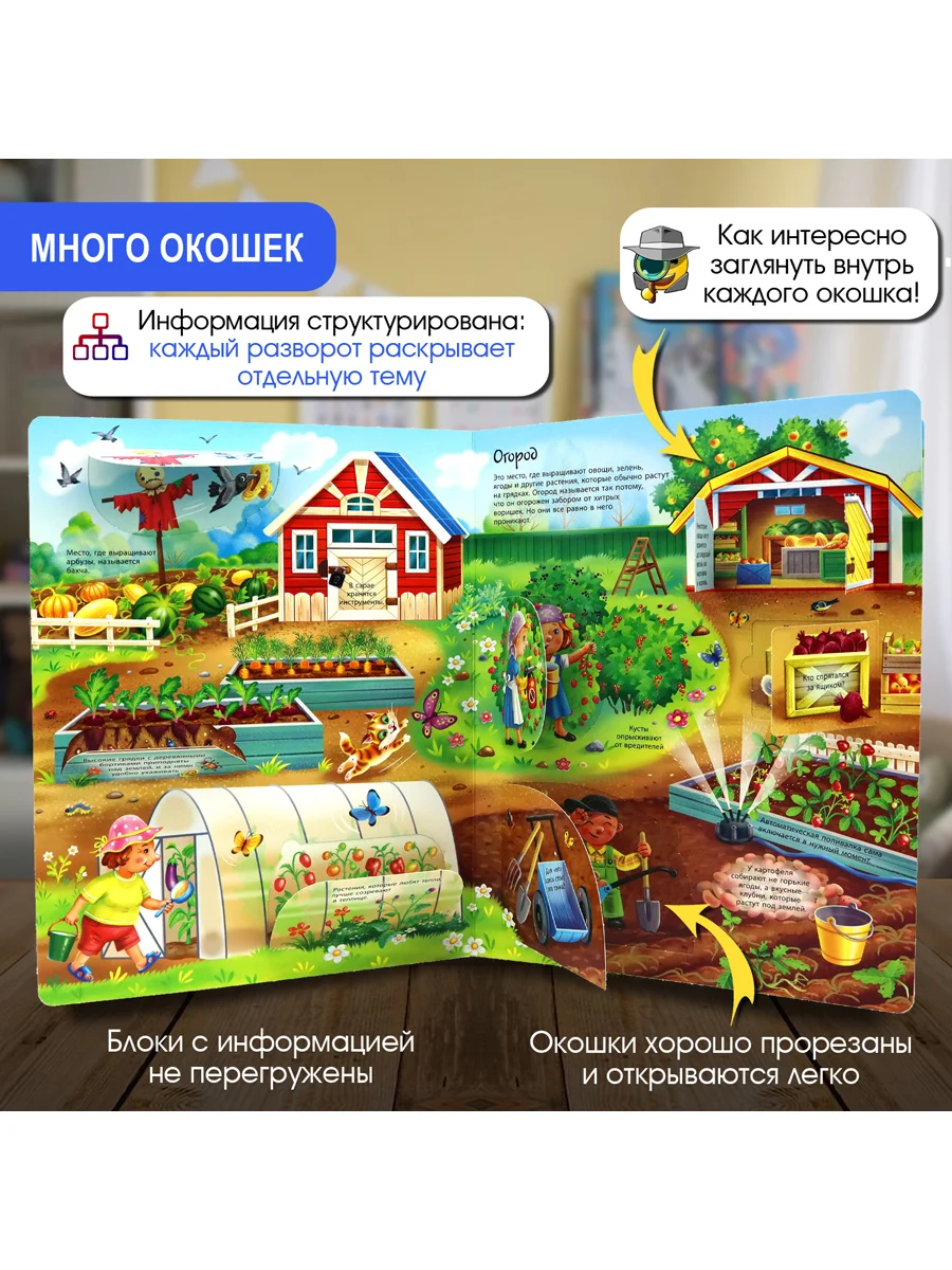 Окошко в мир. Как устроена ферма