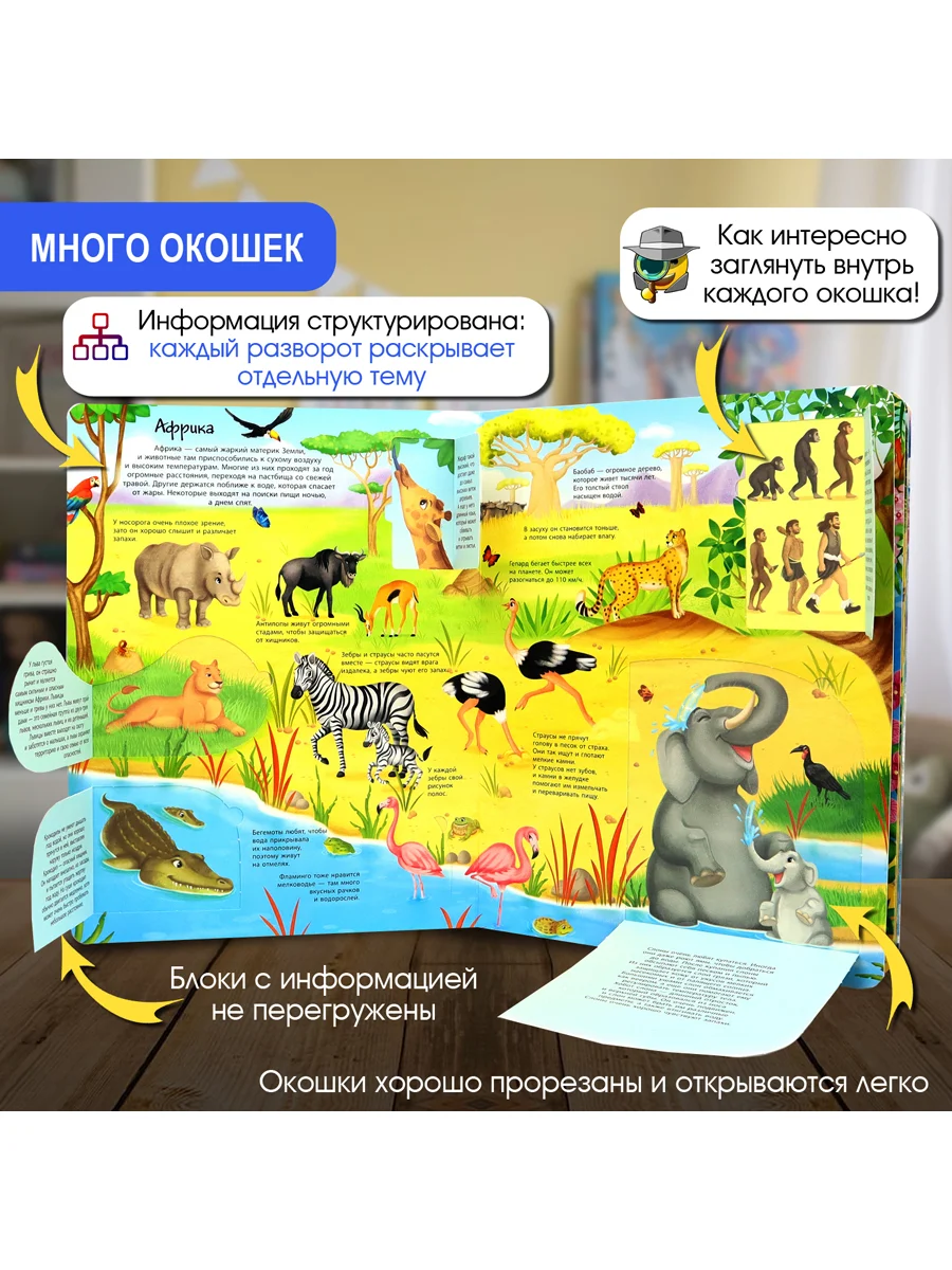 Окошко в мир. Животные всего мира