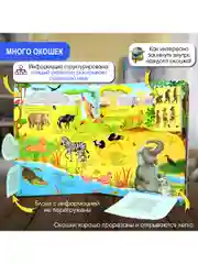 Окошко в мир. Животные всего мира