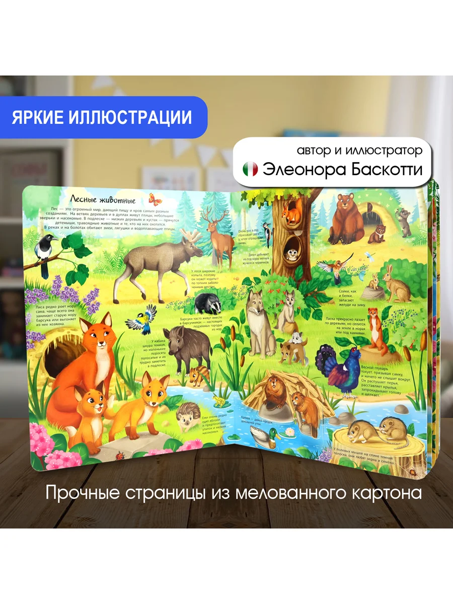 Окошко в мир. Животные всего мира