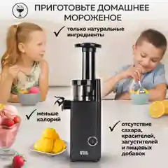 Соковыжималка шнековая 2 в 1 GFGRIL GF-J10 с насадкой для приготовления сорбета