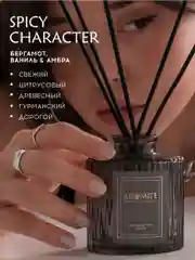 Ароматический диффузор с палочками для дома Ароматизатор воздуха "SPICY CHARACTER"