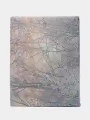 Постельное белье 1,5 сп / 2 сп / евро / семейный Бязь ГОСТ ivSuBelIa "Зимние совы", 70х70