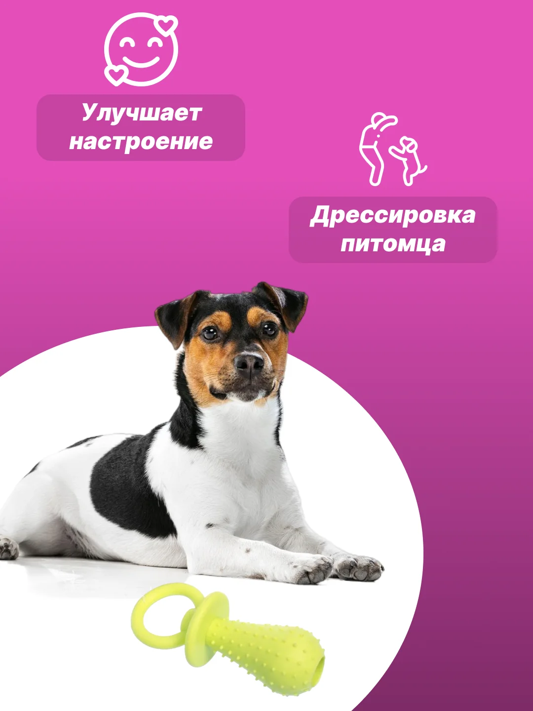 Салатовый игрушка для собак: соска, кость, краб, рыбка