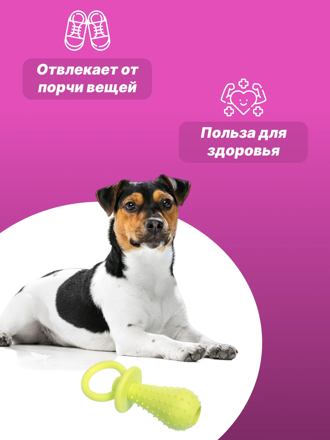 Салатовый игрушка для собак: соска, кость, краб, рыбка