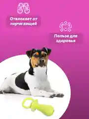 Салатовый игрушка для собак: соска, кость, краб, рыбка