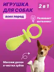 Салатовый игрушка для собак: соска, кость, краб, рыбка