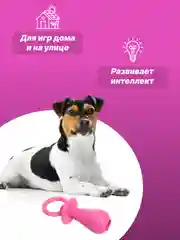Розовый игрушка для собак: соска, кость, краб, рыбка