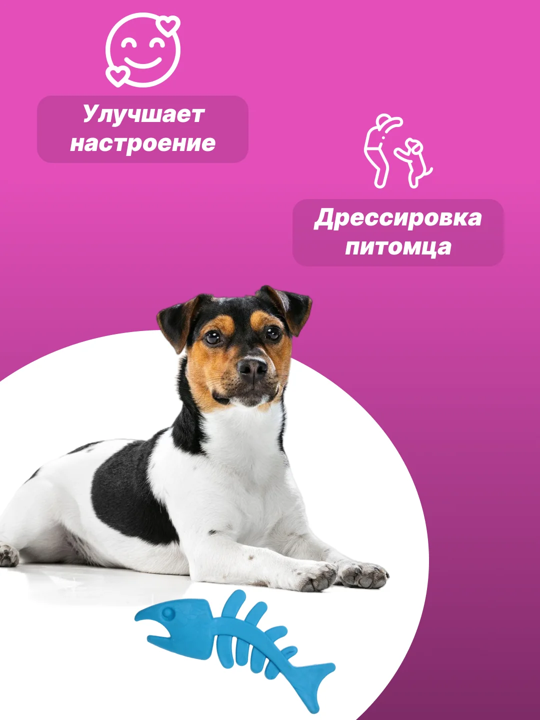 Ледяной игрушка для собак: соска, кость, краб, рыбка