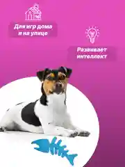 Ледяной игрушка для собак: соска, кость, краб, рыбка