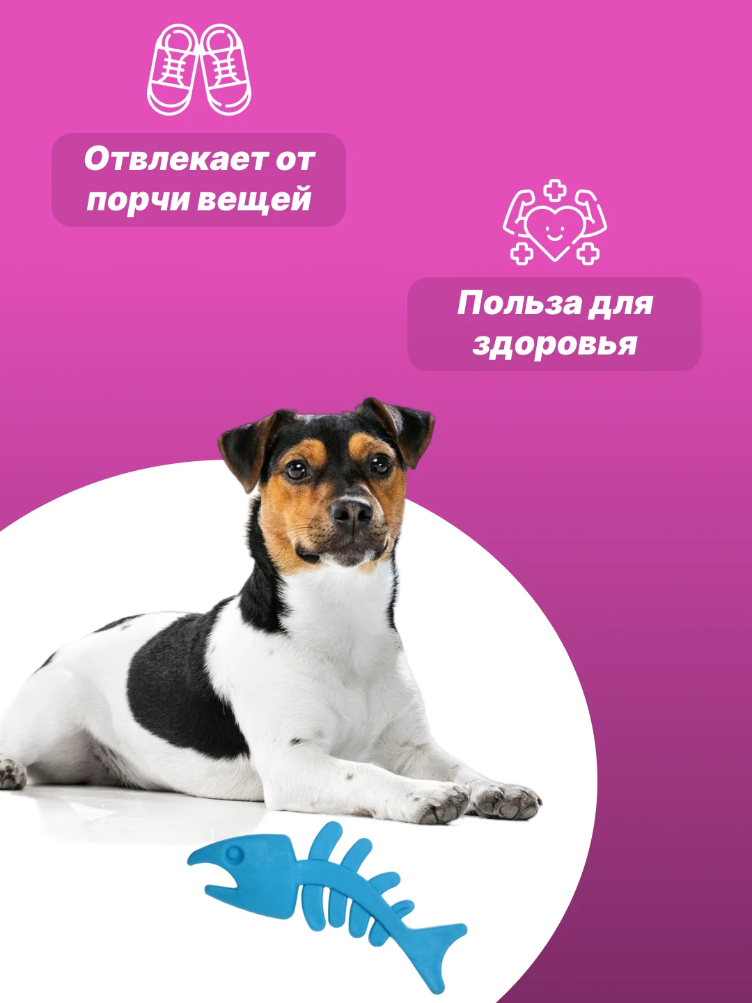 Ледяной игрушка для собак: соска, кость, краб, рыбка