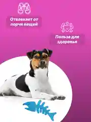 Ледяной игрушка для собак: соска, кость, краб, рыбка