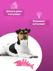Тёмно-розовый игрушка для собак: соска, кость, краб, рыбка