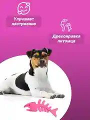 Тёмно-розовый игрушка для собак: соска, кость, краб, рыбка