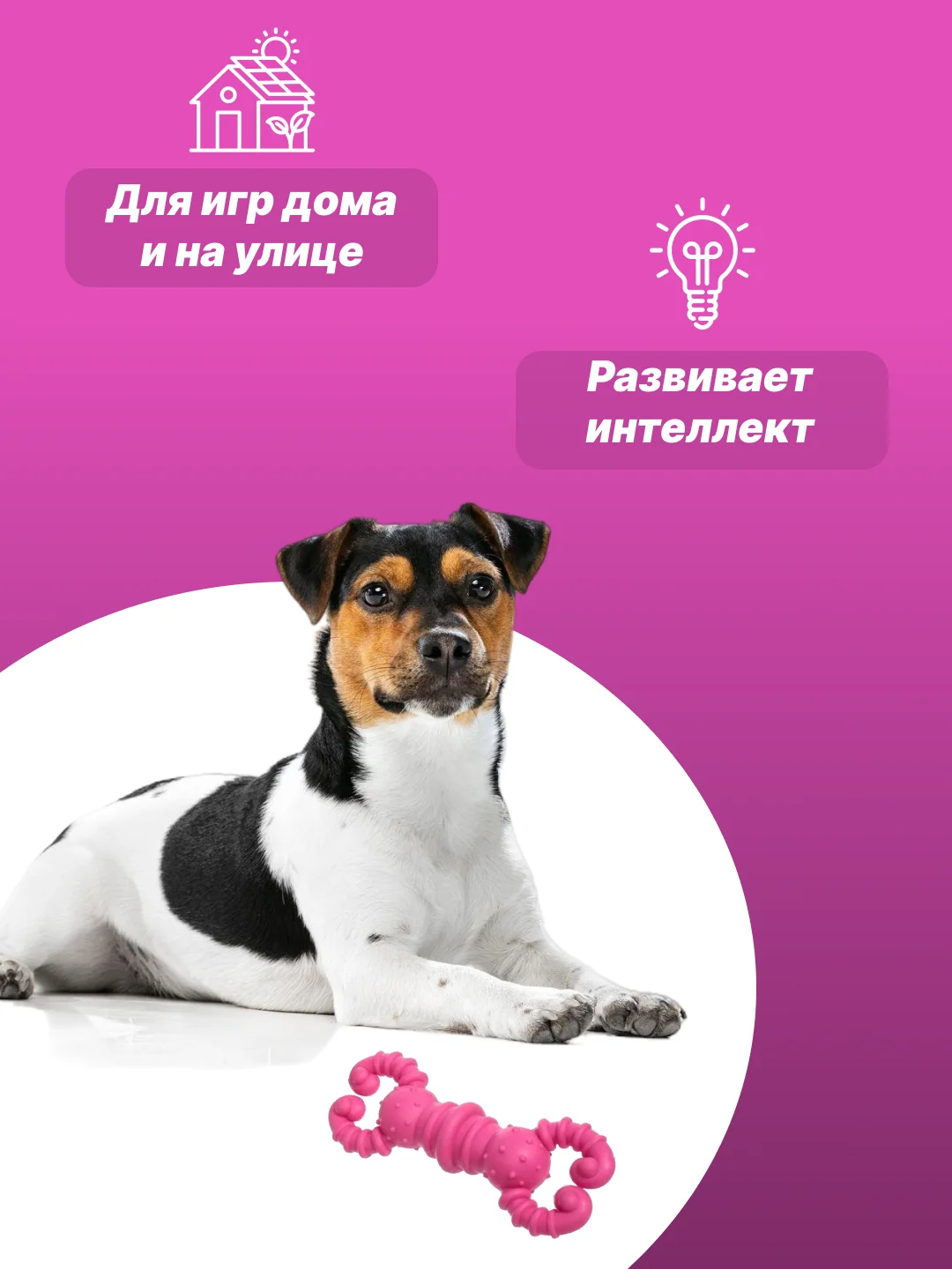 Конфетный игрушка для собак: соска, кость, краб, рыбка
