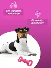 Конфетный игрушка для собак: соска, кость, краб, рыбка