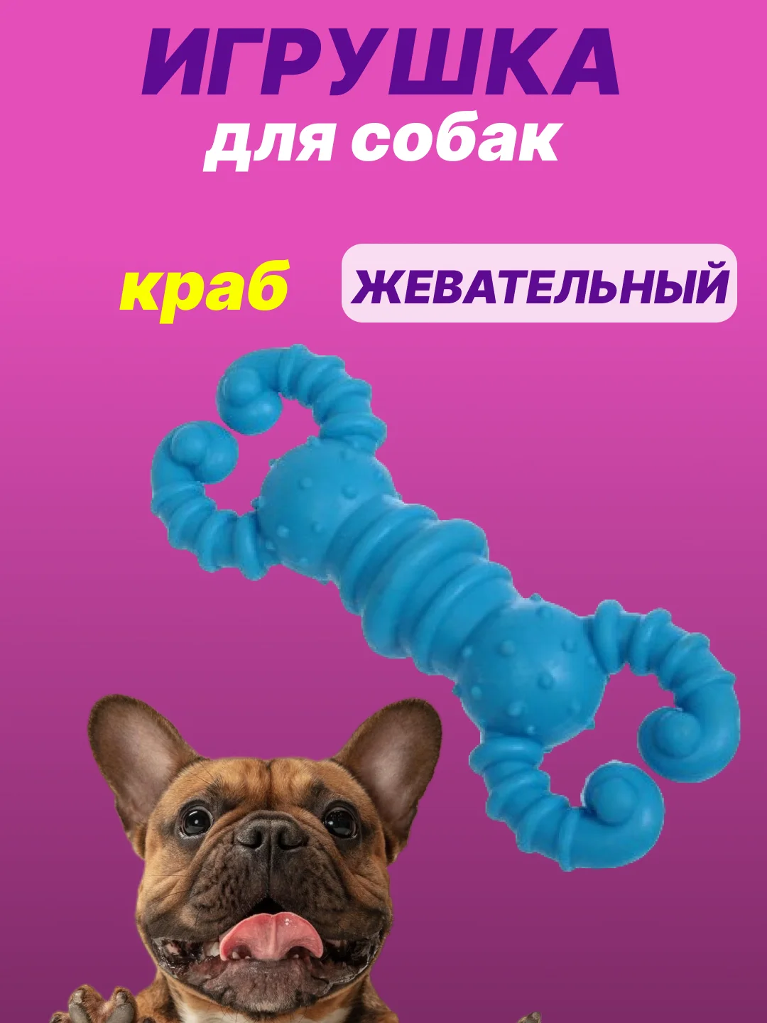 Небесно-голубой игрушка для собак: соска, кость, краб, рыбка