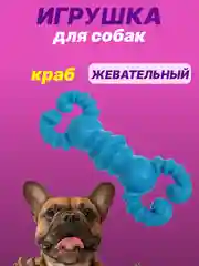 Небесно-голубой игрушка для собак: соска, кость, краб, рыбка