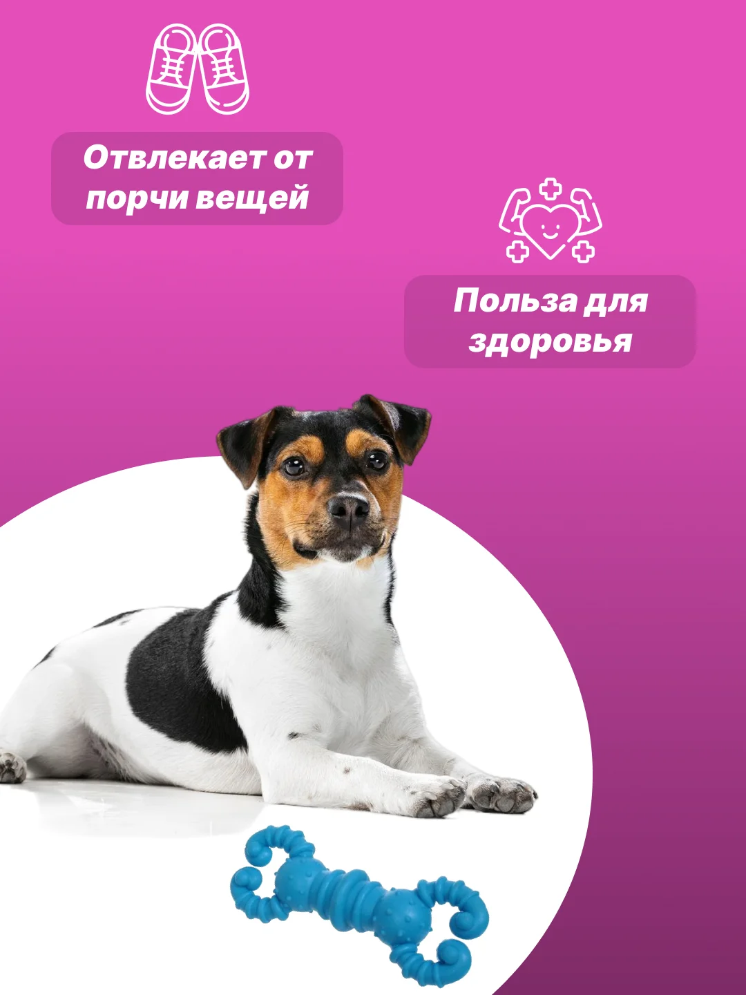 Небесно-голубой игрушка для собак: соска, кость, краб, рыбка