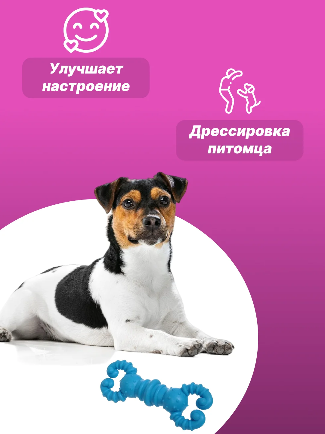 Небесно-голубой игрушка для собак: соска, кость, краб, рыбка