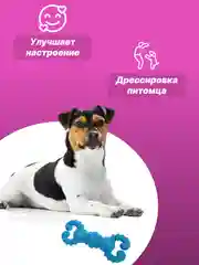 Небесно-голубой игрушка для собак: соска, кость, краб, рыбка
