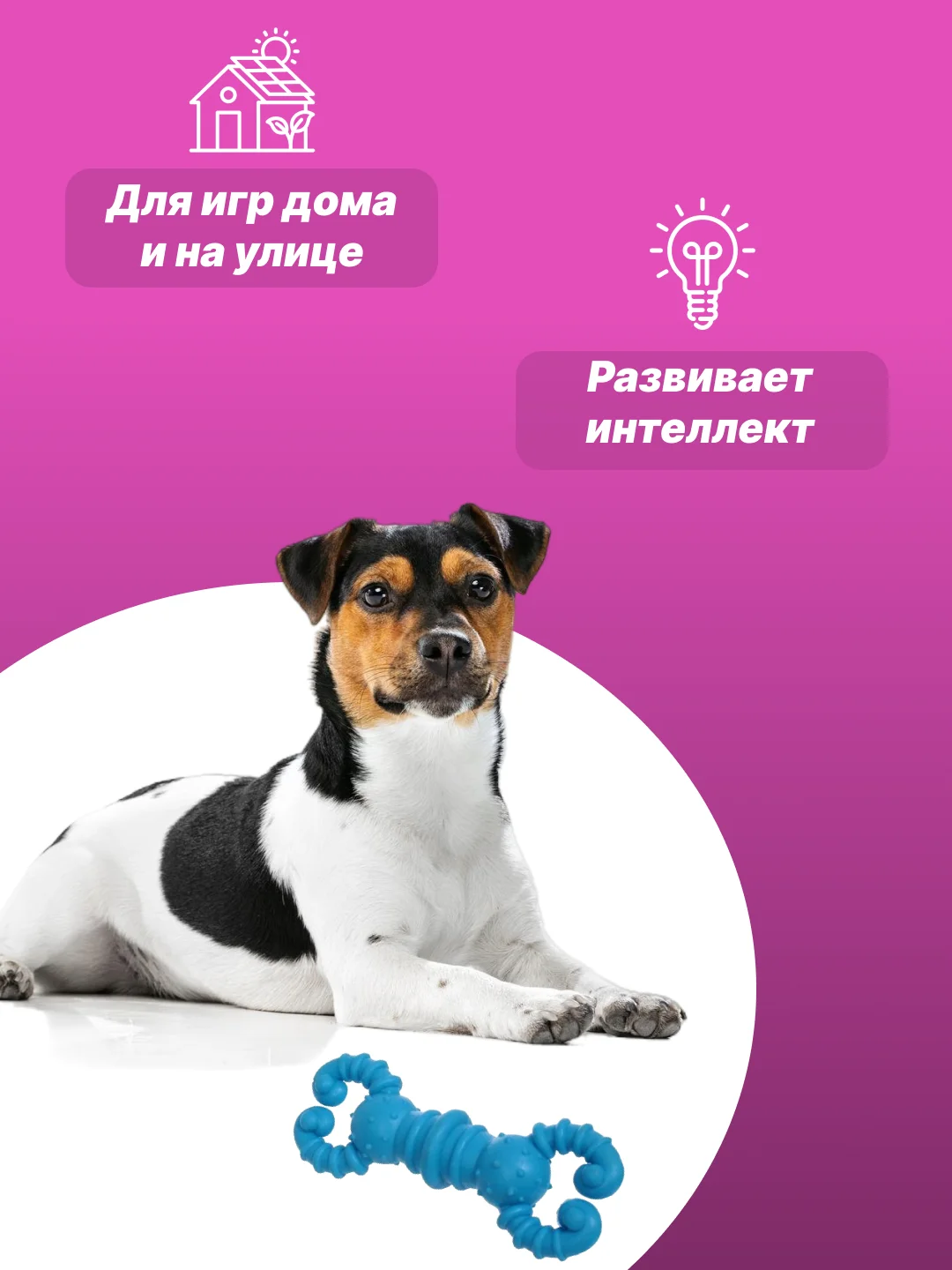 Небесно-голубой игрушка для собак: соска, кость, краб, рыбка