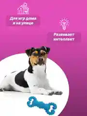 Небесно-голубой игрушка для собак: соска, кость, краб, рыбка