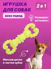 Тёмно-зелёный игрушка для собак: соска, кость, краб, рыбка