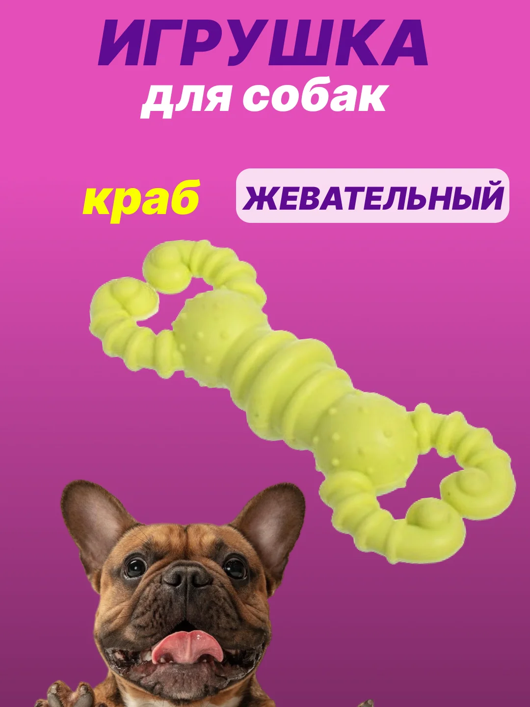 Тёмно-зелёный игрушка для собак: соска, кость, краб, рыбка