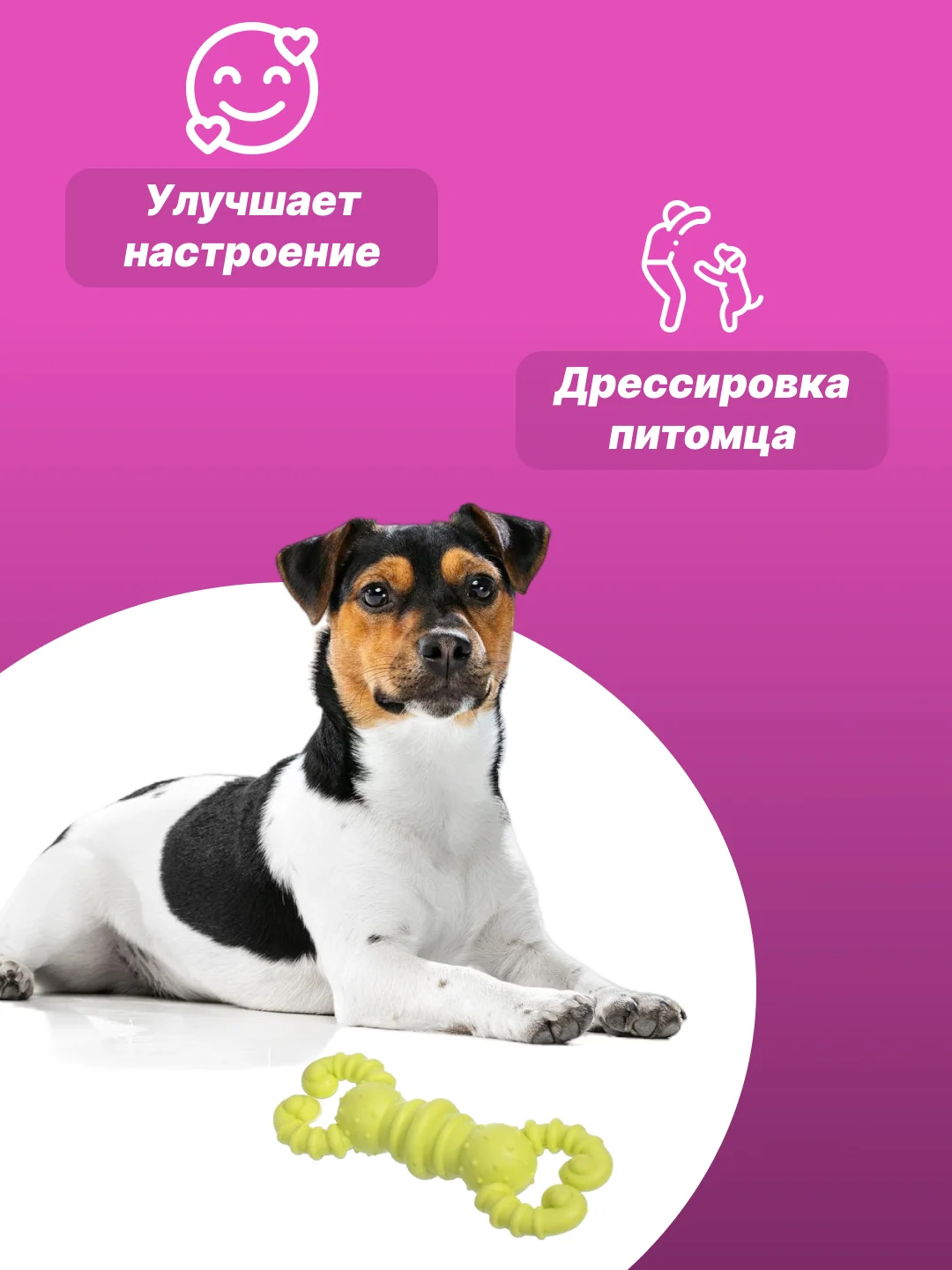 Тёмно-зелёный игрушка для собак: соска, кость, краб, рыбка