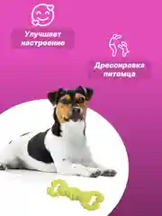 Тёмно-зелёный игрушка для собак: соска, кость, краб, рыбка