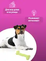 Лесной зеленый игрушка для собак: соска, кость, краб, рыбка
