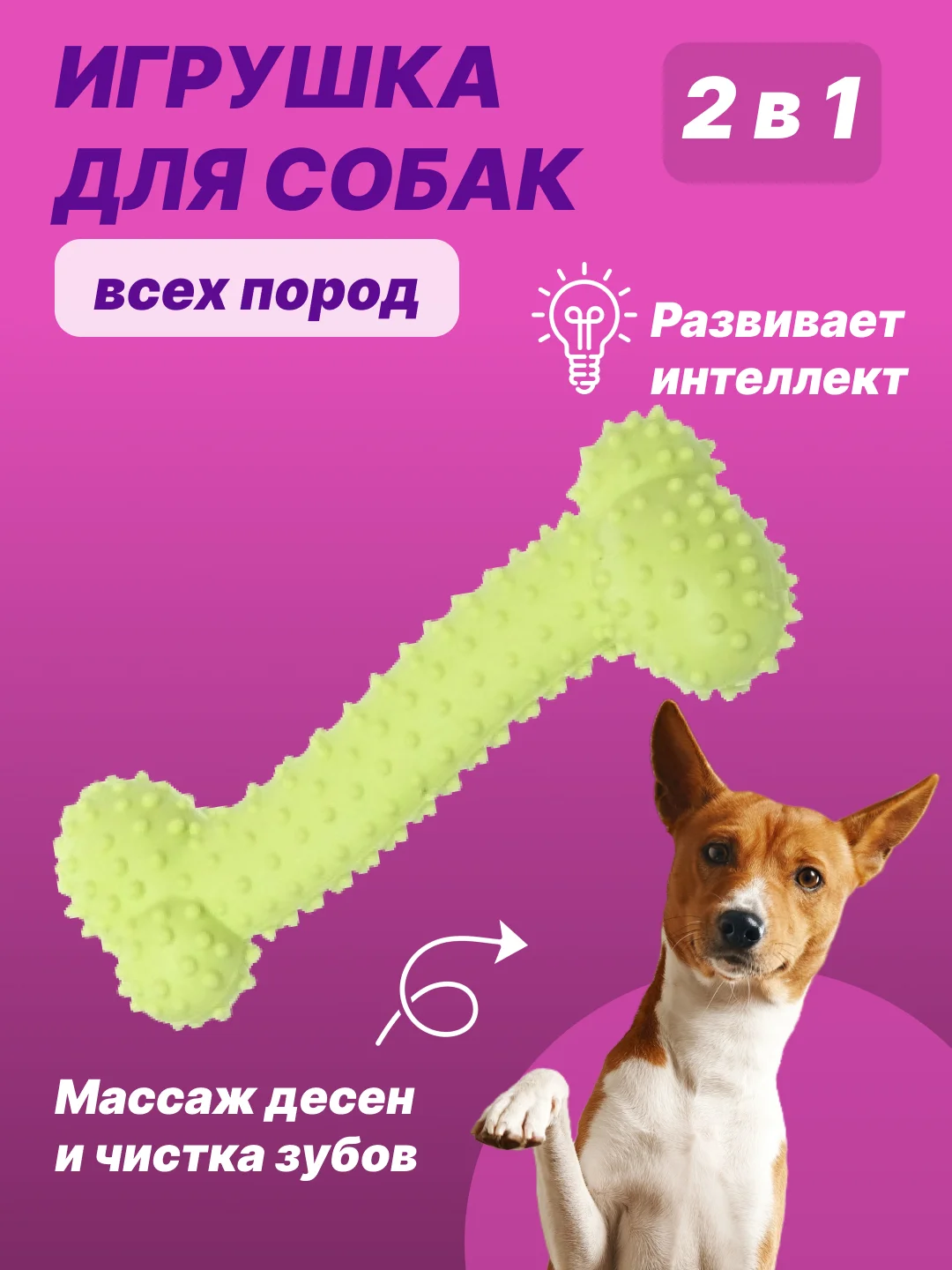 Лесной зеленый игрушка для собак: соска, кость, краб, рыбка