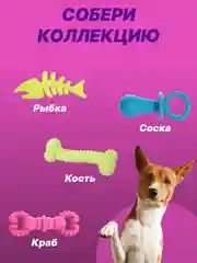 Лесной зеленый игрушка для собак: соска, кость, краб, рыбка