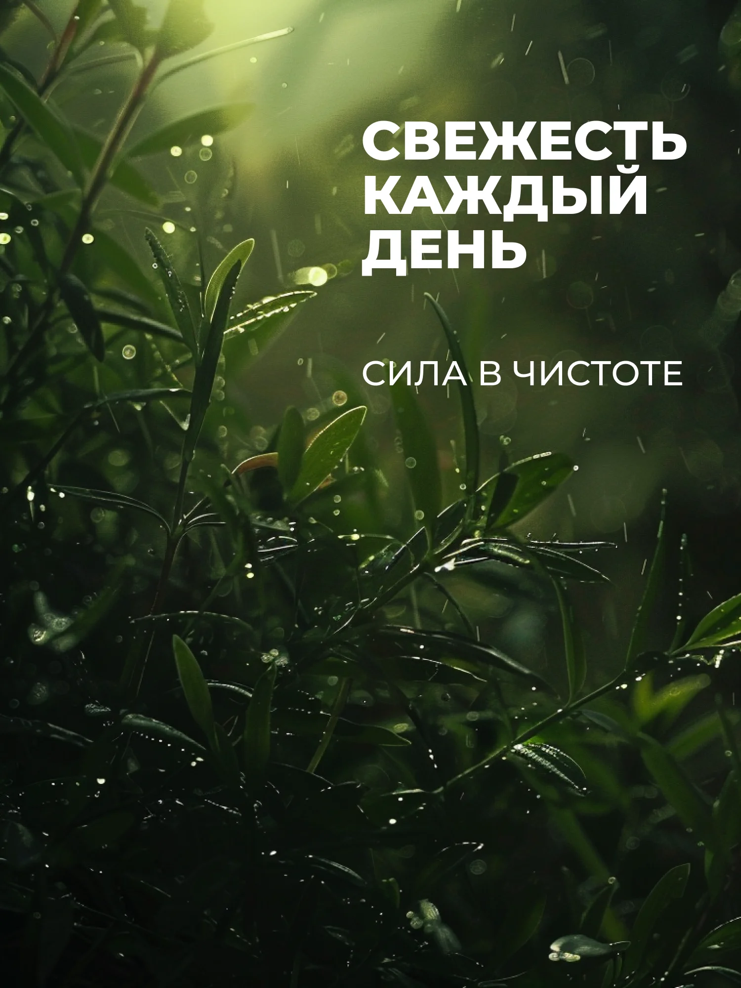 Гель для душа-Шампунь 2 в 1 "Мускус-Амбра-Бергамот" "La Fabrique", 500 мл