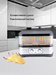 Черный сушилка для овощей и фруктов BQ FD1000, дегидратор, сушка фруктов, объем 10 л